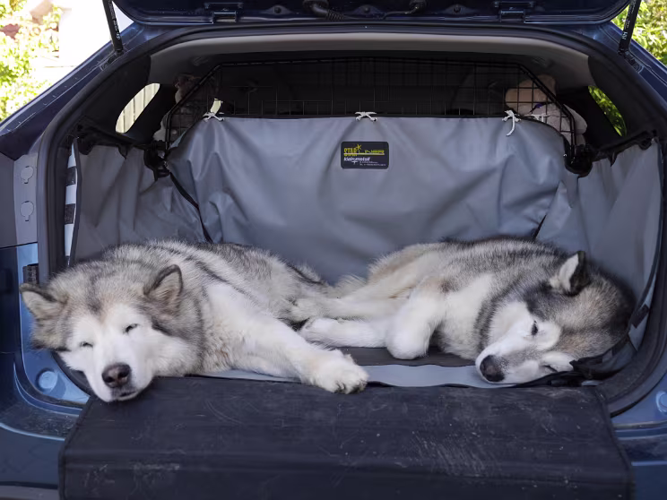 Bond und Onawa im Kofferraum