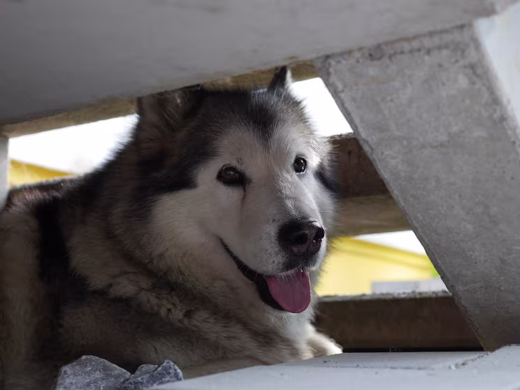 Höhlenerkundung Onawa